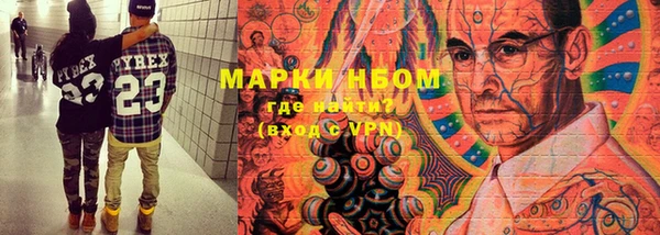 PSILOCYBIN Гусь-Хрустальный