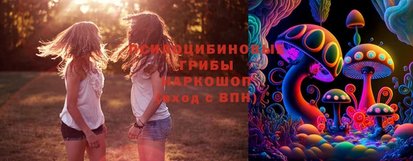хмурый Гусиноозёрск