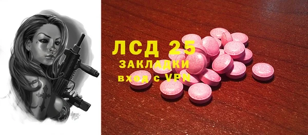PSILOCYBIN Гусь-Хрустальный