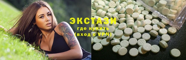 индика Усинск