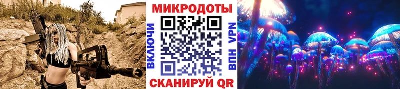 как найти закладки  Волосово  Псилоцибиновые грибы GOLDEN TEACHER 